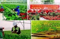 Đại hội hội nông dân các cấp và Đại hội đại biểu toàn quốc Hội Nông dân Việt Nam lần thứ VIII, nhiệm kỳ 2023 - 2028
