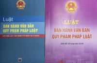 Thực hiện đánh giá tác động chính sách, thủ tục hành chính trong đề nghị, dự thảo văn bản quy phạm pháp luật