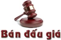 Kiểm tra việc chấp hành các quy định của pháp luật về đấu giá tài sản năm 2024