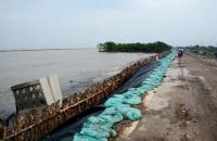 Cà Mau: Ban hành Lệnh xây dựng công trình khẩn cấp thực hiện các công trình, dự án xử lý sạt lở khẩn cấp đê biển Tây