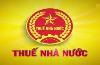 21 nhiệm vụ của Thuế tỉnh, thành phố 