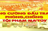 Tăng cường, nâng cao hiệu quả công tác phòng, chống và kiểm soát ma túy