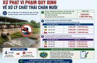 Vi phạm quy định về xử lý chất thải chăn nuôi có thể bị phạt tiền đến 10 triệu đồng
