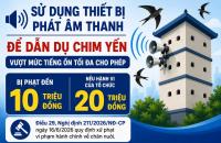Cá nhân có hành vi sử dụng thiết bị phát âm thanh để dẫn dụ chim yến vượt mức tiếng ồn tối đa cho phép bị phạt đến 10 triệu đồng