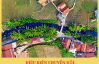 Điều kiện chuyển đổi quyền sử dụng đất nông nghiệp