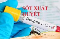 Tăng cường công tác phòng, chống bệnh sốt xuất huyết