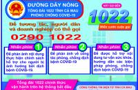 Cà Mau: Vận hành Tổng đài thông tin dịch vụ công 1022 