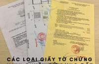Quy định các loại giấy tờ khác về quyền sử dụng đất có trước ngày 15 tháng 10 năm 1993 trên địa bàn tỉnh Cà Mau