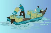 Cà Mau tăng cường ngăn chặn khai thác thủy sản mang tính hủy diệt, bảo vệ nguồn lợi thủy sản bền vững