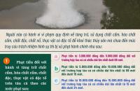 Triển khai các tờ gấp điện tử về xử lý các hành vi vi phạm liên quan đến khai thác, mua bán, vận chuyển trái phép thủy sản