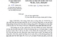 Triển khai thực hiện Công điện của Thủ tướng Chính phủ