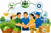 Quy định về thành lập tổ hợp tác