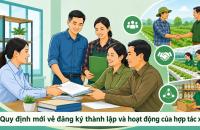 Quy định mới về đăng ký thành lập và hoạt động của hợp tác xã