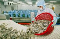 Thủ tướng Chính phủ yêu cầu chấn chỉnh công tác cấp giấy xác nhận nguyên liệu thủy sản khai thác, giấy chứng nhận thủy sản khai thác tại địa phương