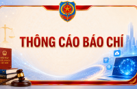 Thông cáo báo chí văn bản quy phạm pháp luật do Ủy ban nhân dân tỉnh Cà Mau ban hành (Quyết định số 154/2026/QĐ-UBND ngày 08/7/2026)