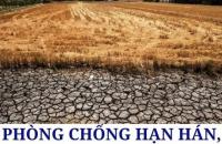 Tăng cường thực hiện các biện pháp phòng, chống hạn hán, xâm nhập mặn