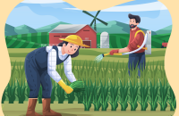 Hướng dẫn thực hiện một số nội dung về đăng ký biện pháp bảo đảm bằng quyền sử dụng đất, tài sản gắn liền với đất