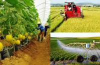 Hợp tác xã hoạt động trong lĩnh vực nông nghiệp khi chuyển đổi sang sản xuất bền vững sẽ được hỗ trợ về vốn, giống 