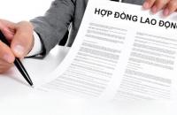 Tình huống pháp luật: Vi phạm cung cấp thông tin trong lao động