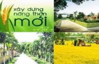 Cà Mau triển khai Chương trình mục tiêu quốc gia xây dựng nông thôn mới năm 2025