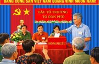 Chủ tịch UBND cấp xã quyết định tổ chức bầu Tổ trưởng Tổ dân phố
