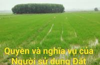 Pháp luật về quyền và nghĩa vụ của người sử dụng đất với yêu cầu khơi dậy tiềm năng, phát huy cao nhất giá trị nguồn lực đất đai