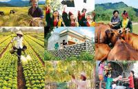 Thúc đẩy triển khai thực hiện 03 chương trình mục tiêu quốc gia