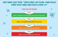 Cà Mau: Ban hành quy định tạm thời “Thích ứng an toàn, linh hoạt, kiểm soát hiệu quả dịch Covid-19”