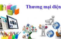 Cà Mau triển khai Kế hoạch phát triển thương mại điện tử  và chuyển đổi số trong hoạt động xúc tiến thương mại 