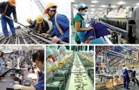 Cà Mau: Phấn đấu có khoảng 80% học sinh, sinh viên tốt nghiệp trung học phổ thông được hướng nghiệp.