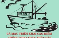 Cà Mau triển khai cao điểm chống khai thác thủy sản bất hợp pháp, không báo cáo (IUU)