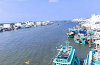 Cà Mau siết quản lý đội tàu, quyết liệt chống khai thác IUU để gỡ “thẻ vàng” EC