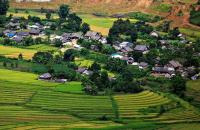 Hướng dẫn thực hiện chế độ, chính sách đối với đơn vị hành chính cấp xã, thôn vùng đồng bào dân tộc thiểu số và miền núi thực hiện sắp xếp, tổ chức lại.