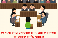 Căn cứ xem xét cho thôi giữ chức vụ, từ chức, miễn nhiệm đối với cán bộ theo Quy định 377