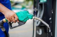 Thủ tướng chỉ đạo tiếp tục thực hiện các giải pháp bảo đảm cung ứng xăng dầu cho sản xuất, kinh doanh và tiêu dùng của người dân, doanh nghiệp