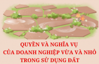 Doanh nghiệp vừa và nhỏ có quyền và nghĩa vụ gì trong sử dụng đất theo Luật Đất đai năm 2024?
