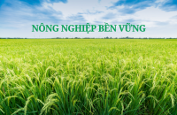 Phát triển nông nghiệp theo hướng hiện đại, bền vững