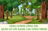 Tăng cường công tác quản lý cây xanh, các công trình trong mùa mưa bão năm 2025 trên địa bàn tỉnh