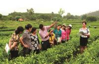 Tỉnh Cà Mau ban hành Kế hoạch bồi dưỡng cán bộ Hội Nông dân các cấp và nông dân sản xuất kinh doanh giỏi, nông dân xuất sắc giai đoạn 2025 – 2030