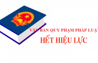 Công bố văn bản quy phạm pháp luật do Ủy ban nhân dân tỉnh ban hành quy định chi tiết hết hiệu lực toàn bộ