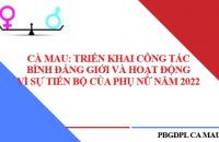 Cà Mau: Triển khai công tác bình đẳng giới và hoạt động Vì sự tiến bộ của phụ nữ năm 2022