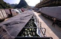 Cửa khẩu đường bộ của tỉnh Lạng Sơn tạm thời dừng tiếp nhận phương tiện chở mặt hàng hoa quả tươi