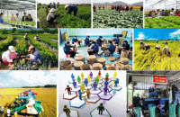 Cà Mau triển khai Kế hoạch phát triển kinh tế tập thể, hợp tác xã năm 2023