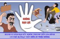 Hành vi xâm hại sức khỏe thành viên gia đình có thể bị phạt  tiền đến 20 triệu đồng