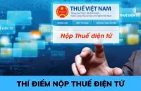Thí điểm nộp thuế điện tử đối với hàng hóa xuất khẩu, nhập khẩu qua tổ chức cung ứng dịch vụ trung gian thanh toán