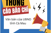 Thông cáo báo chí: Văn bản quy phạm pháp luật do Hội đồng nhân dân tỉnh Cà Mau ban hành (Nghị quyết số 02/2024/NQ-HĐND ngày 11/7/2024)