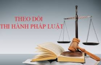 Cà Mau triển khai kế hoạch theo dõi thi hành pháp luật trong lĩnh vực trọng tâm, liên ngành năm 2023