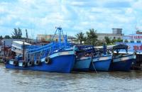 Cà Mau đẩy nhanh triển khai công tác chống khai thác thủy sản bất hợp pháp (IUU)