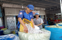 U Minh hỗ trợ pháp lý cho doanh nghiệp năm 2021