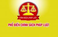 Nâng cao chất lượng, hiệu quả hoạt động của Hội đồng phối hợp phổ biến, giáo dục pháp luật
